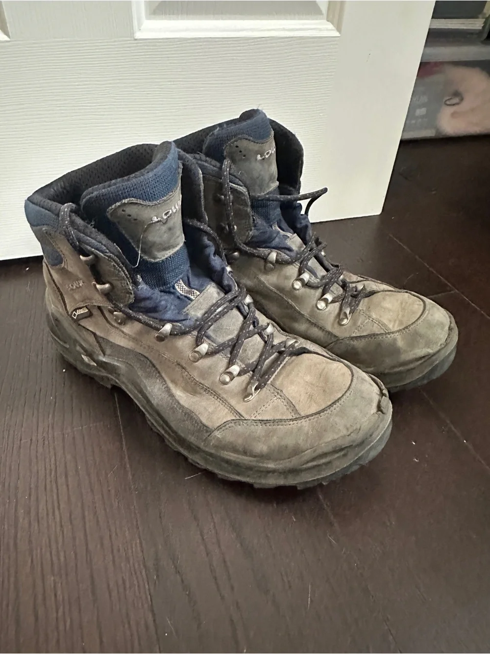 Lowa Men's Gore Tex Hiking Boots
